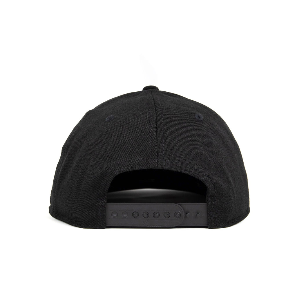 110F FLEXFIT® 110® SNAPBACK