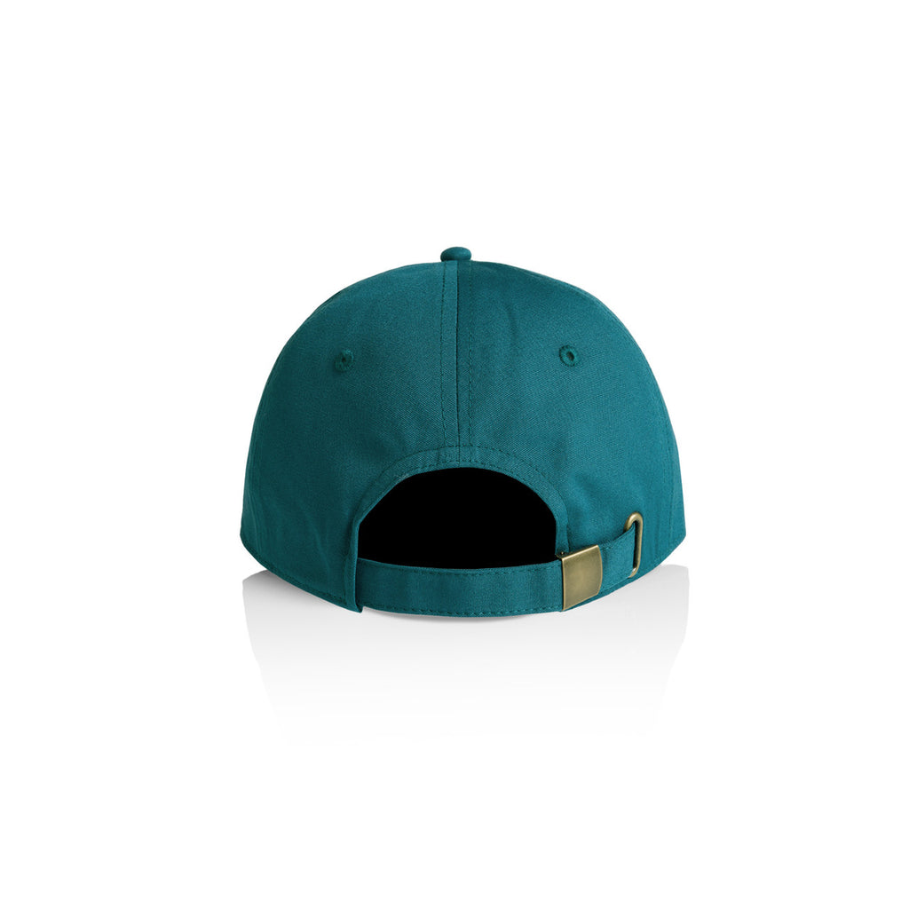 Access Cap1130