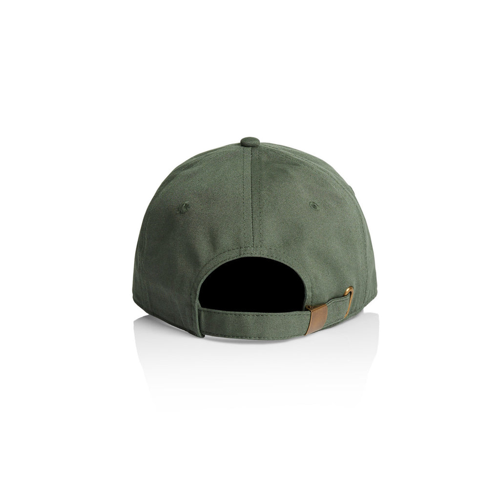 Access Cap1130