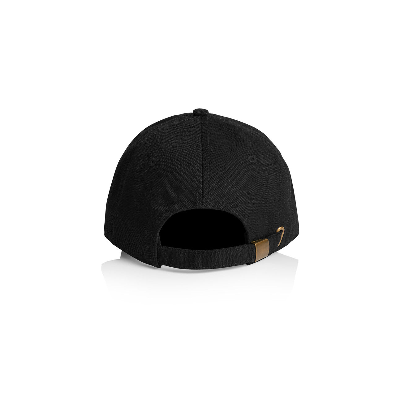 Access Canvas Cap1131