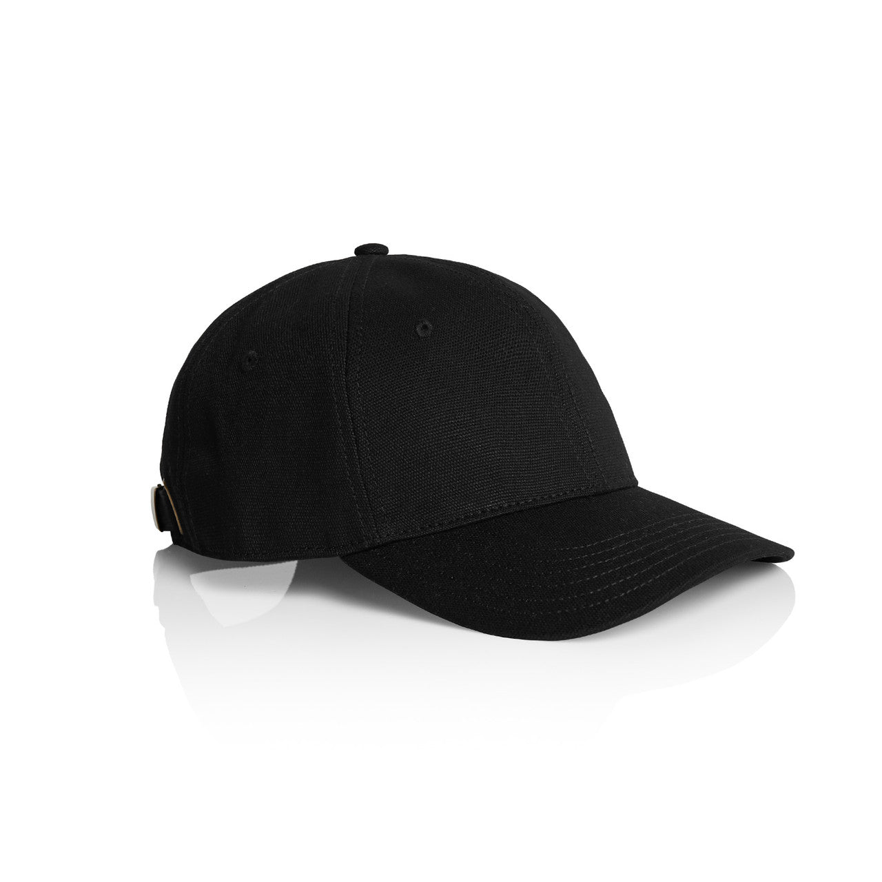 Access Canvas Cap1131