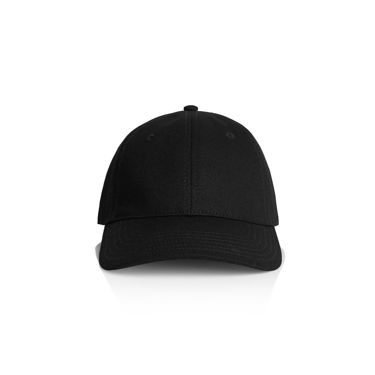 Access Canvas Cap1131