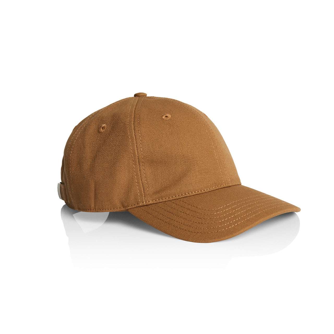 Access Canvas Cap1131