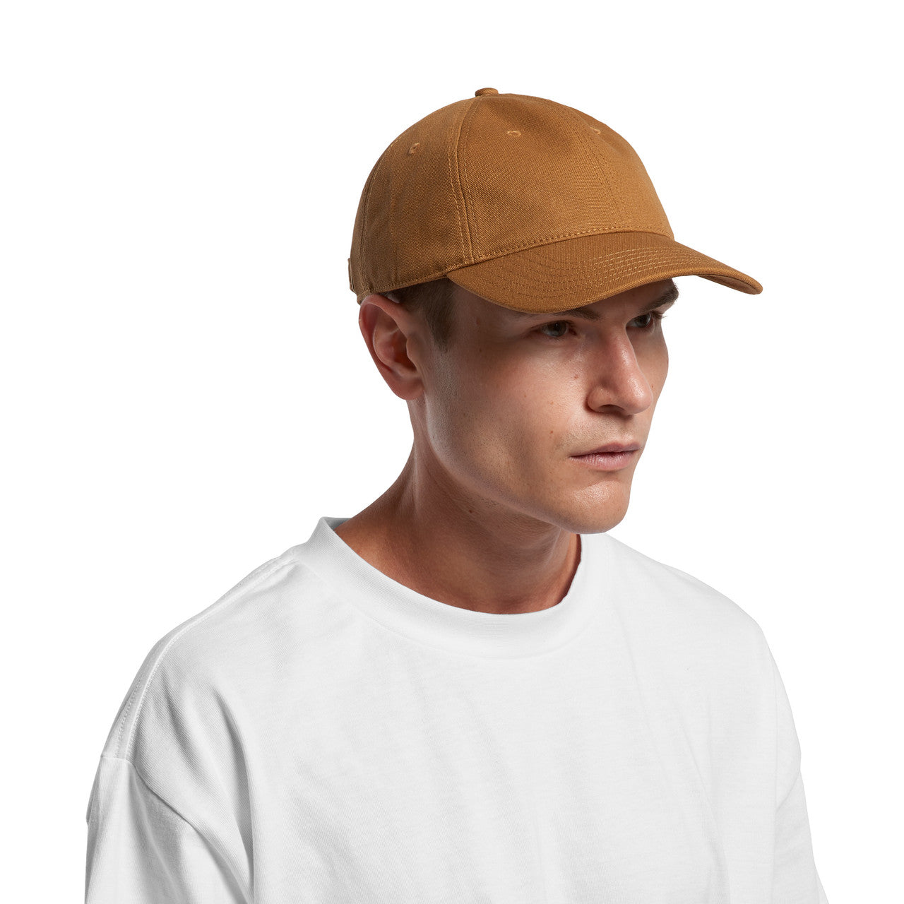 Access Canvas Cap1131