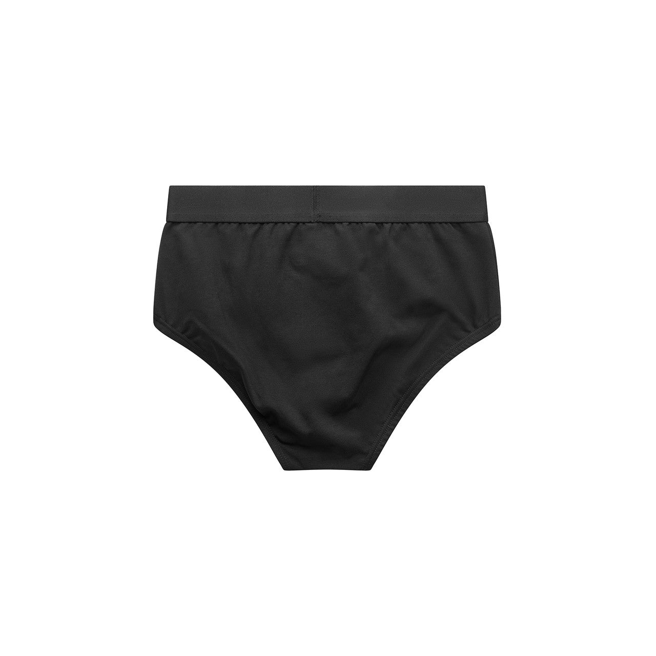 Briefs1212