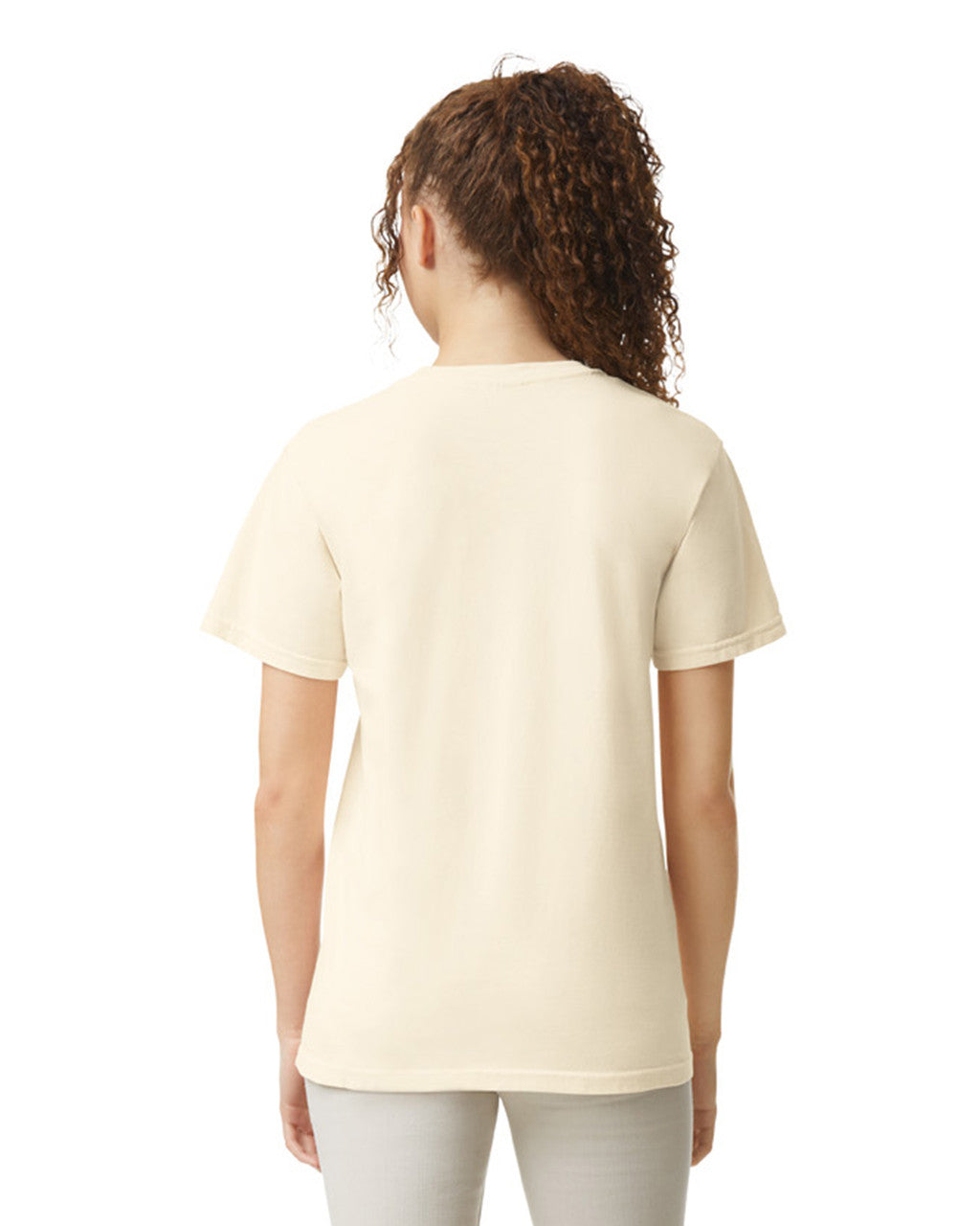 Comfort Colors Adult Heavyweight T-Shirt (1717)