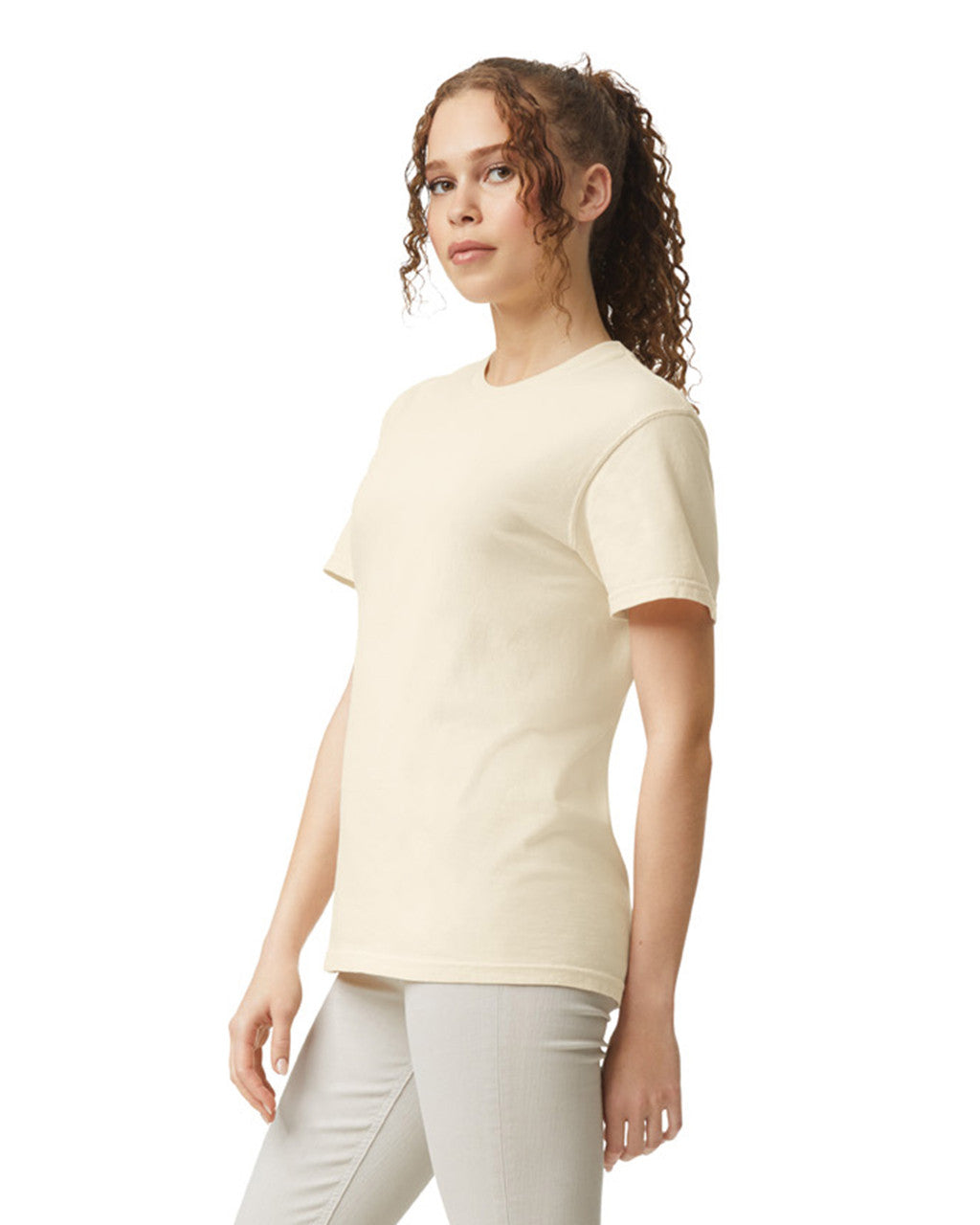 Comfort Colors Adult Heavyweight T-Shirt (1717)