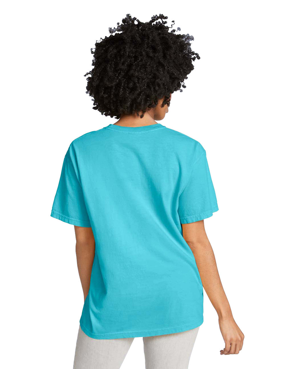 Comfort Colors Adult Heavyweight T-Shirt (1717)
