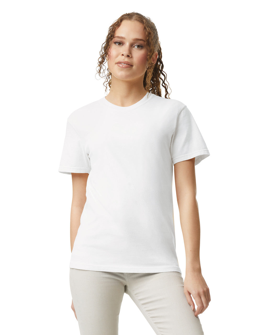 Comfort Colors Adult Heavyweight T-Shirt (1717)