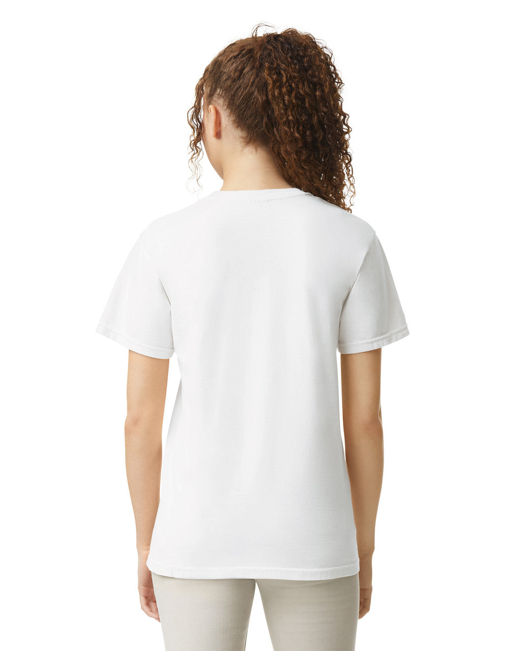 Comfort Colors Adult Heavyweight T-Shirt (1717)