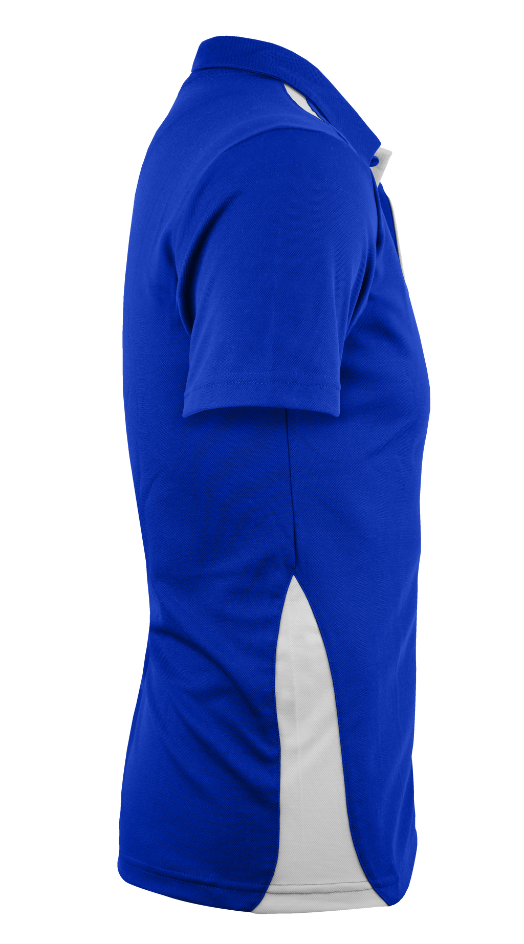 PATERSON MENS POLOS - ROYAL/WHITE