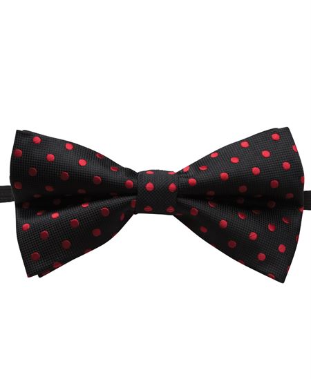 JB's Bow Tie & Polka Dot Bow Tie