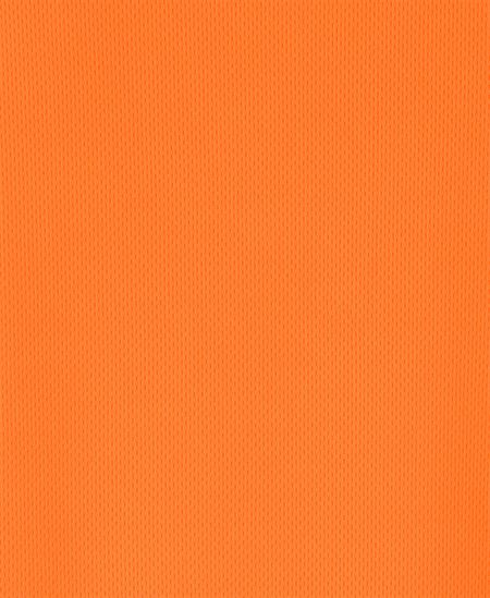 JB's Hi Vis L/S NSW/QLD Rail Biomotion X-Back Polo