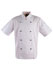 CJ02 CHEF’S SHORT SLEEVE JACKET