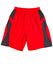 SS23 SLAMDUNK SHORTS Adult